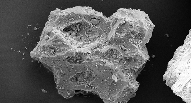 micrograph of a grain of pumice sand showing foamed-stone structure