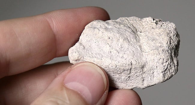 typical pumice stone from the Hess Pumice mine